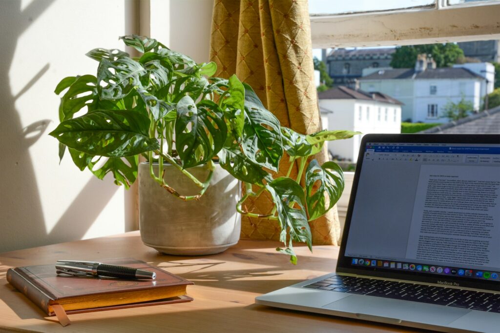 Laptop neben einer Pflanze auf dem Schreibtisch im Homeoffice eines Teams mit Remote Leadership